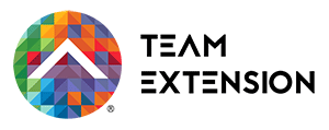 Team Extension logo